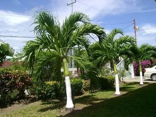 Hotel Restorations Tobago Crown Point